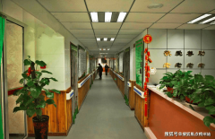 秋季组织沉阳登高、菊花展；平台声明：该文概