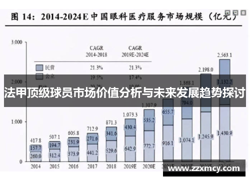 法甲顶级球员市场价值分析与未来发展趋势探讨