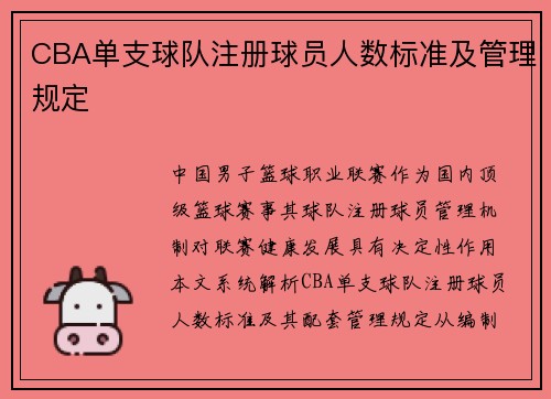 CBA单支球队注册球员人数标准及管理规定
