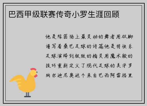 巴西甲级联赛传奇小罗生涯回顾
